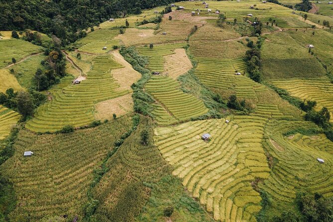 One day Doi Inthanon & Trekking at Pha Dok Siew - Royal gardens and mountain-grown plants