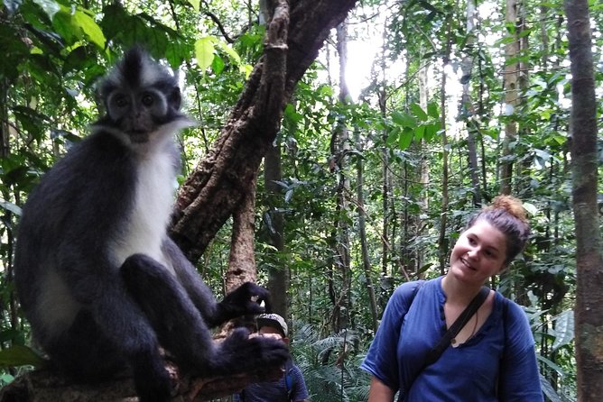 ONE DAY JUNGLE TREKKING 6-7 hours (see orang utan) + RAFTING in BUKIT LAWANG - What the $90.70 Price Covers