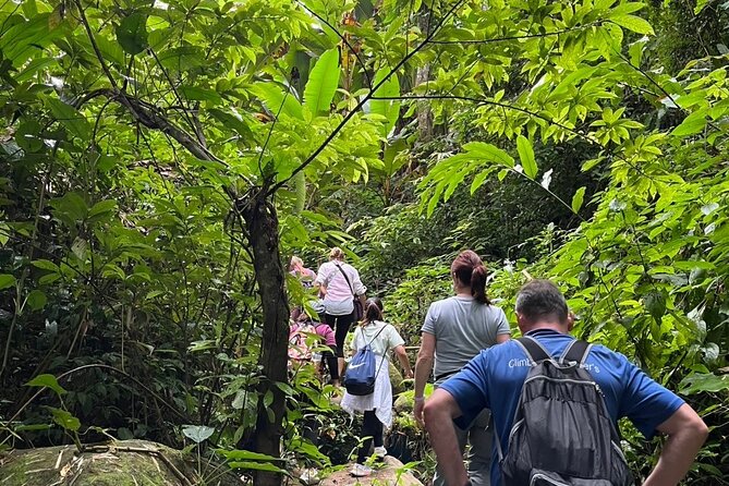 One Day Trekking Chiang Rai Jungle Adventure and Bamboo Cooking - Why the bamboo lunch is worth your time