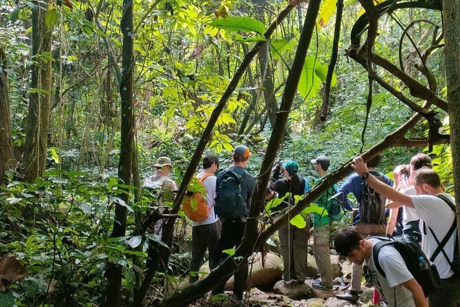 One Day Trekking Chiang Rai Jungle Adventure and Bamboo Cooking - What the full day feels like