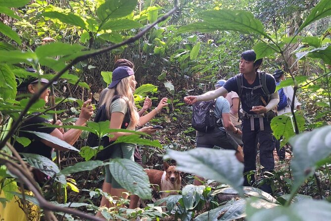 One Day Trekking Chiang Rai Jungle Adventure and Bamboo Cooking - Pha Soet begins with village life