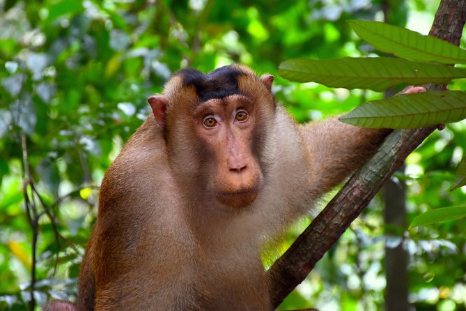 ORANGUTAN TREK (2D/1N) by EcoTravel Bukit Lawang - Reaching the riverside camp around 3:00 pm