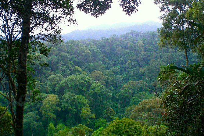 ORANGUTAN TREK (2D/1N) by EcoTravel Bukit Lawang - The second morning: waterfall and jungle taxi