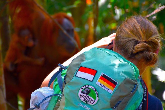 ORANGUTAN TREK (2D/1N) by EcoTravel Bukit Lawang - Walking through Gunung Leuser National Park