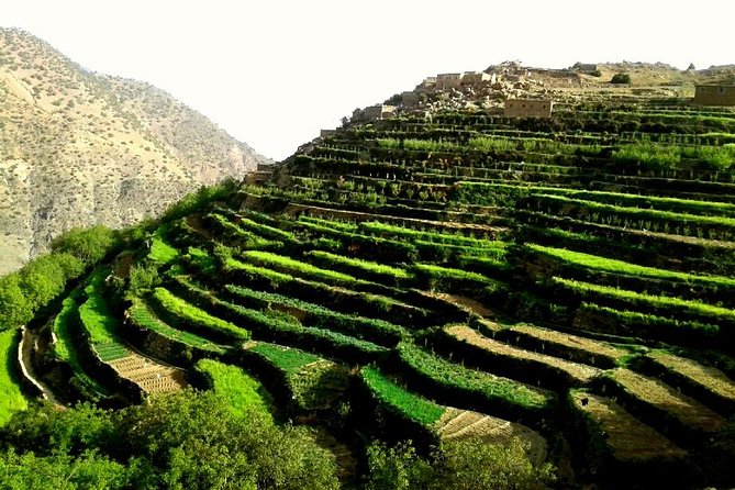 Ouirgane Trekking & Hiking from Ouirgane to Imlil – 4 Days - Key Points Before You Book