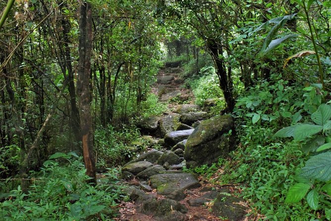 Overnight Adventure Trekking in Knuckles - Key points at a glance