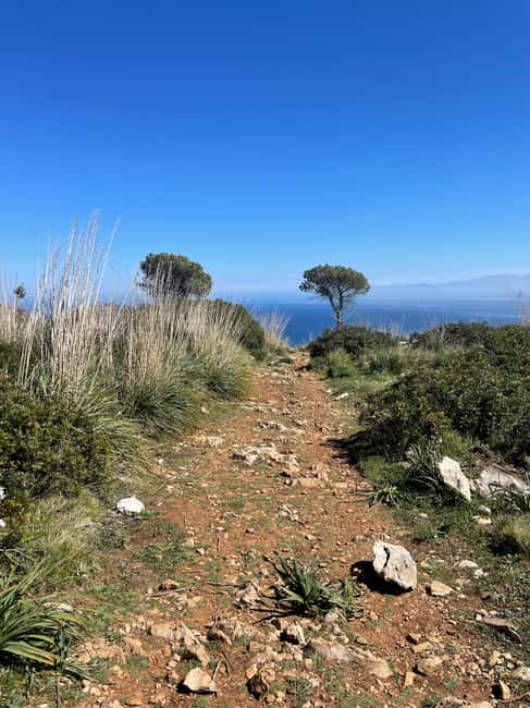 Palermo: Monte Gallo Trekking Tour with Picnic - A picnic with Palermo and Mondello below