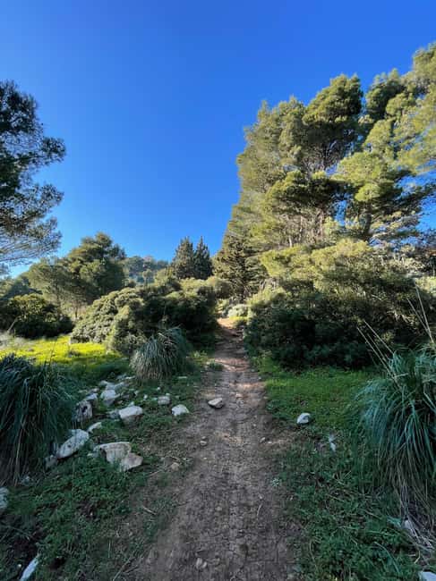 Palermo: Monte Gallo Trekking Tour with Picnic - What the Monte Gallo hike is really like