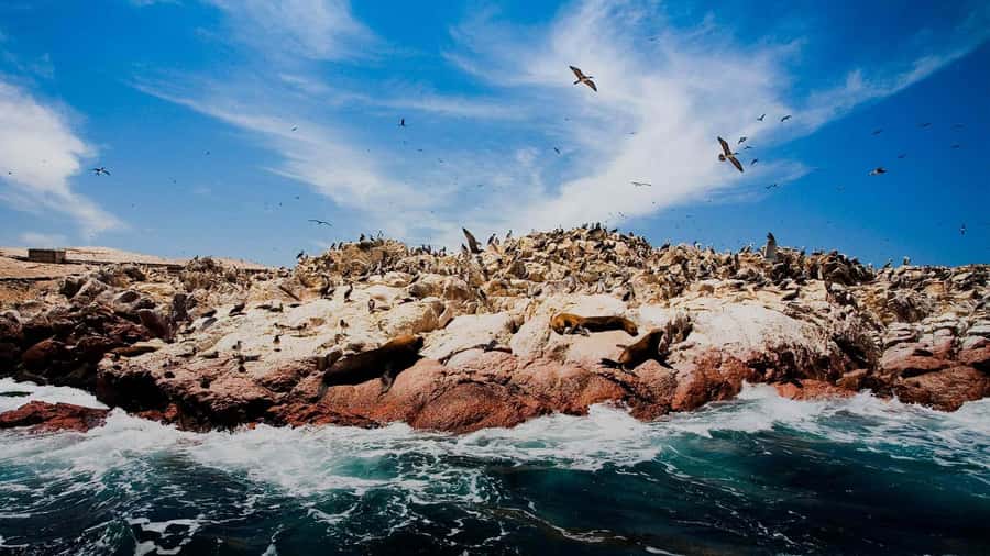 PARACAS|| Sunset trekking in the Paracas National Reserve - Key points about the Paracas sunset walk