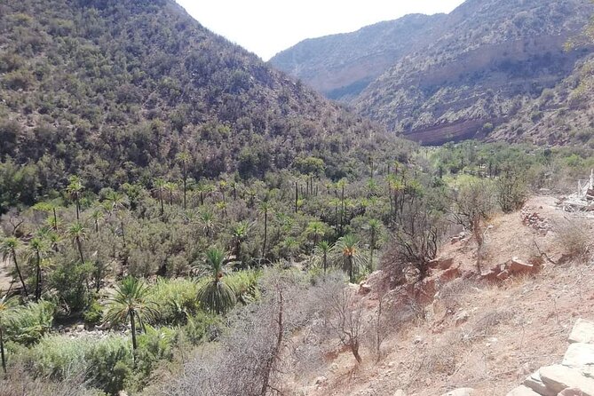 Paradise Valley Trekking - Is $18.52 good value?