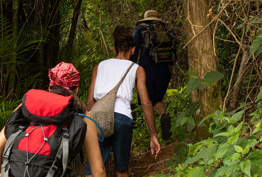 Paraty: Pão de Açucar Peak Trekking and Hiking Tour - Who should book this hike
