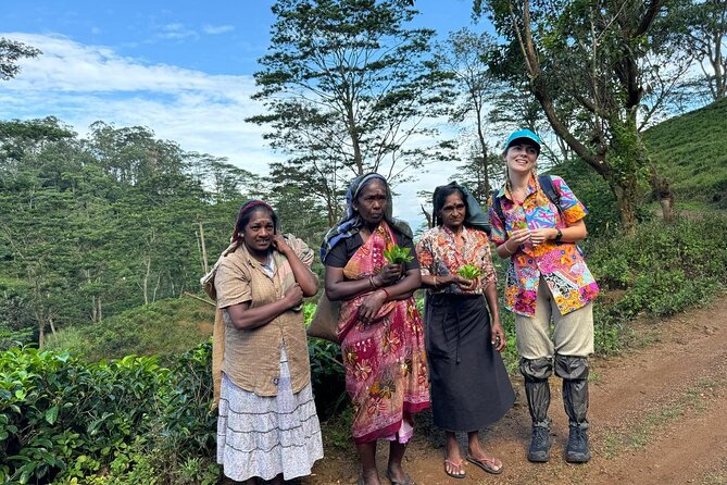 Pekoe Trail Stage 1- Scenic Trek from Hanthana to Galaha - Is $50 good value?