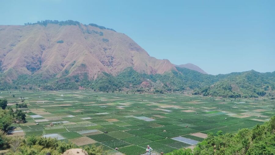 Pergasingan Hill Trek: Unveiling the Beauty of Sembalun - Returning by 1:00 PM and Moving On