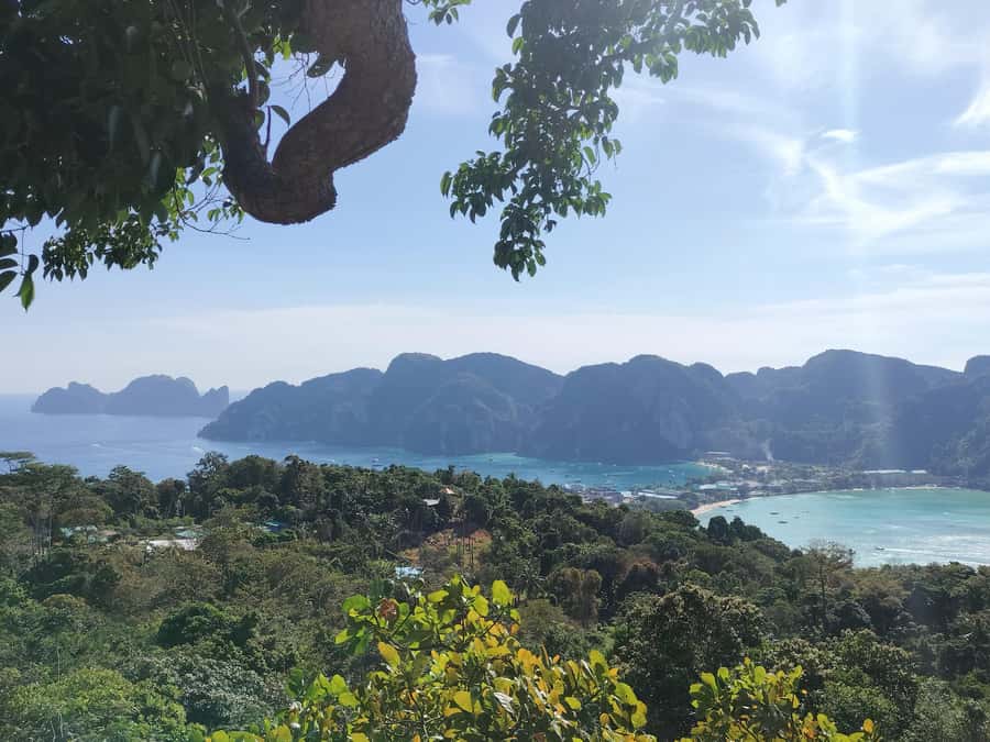 Phi Phi: Guided Jungle Trek & Night Swim with Plankton - The fourth viewpoint means a jungle walk