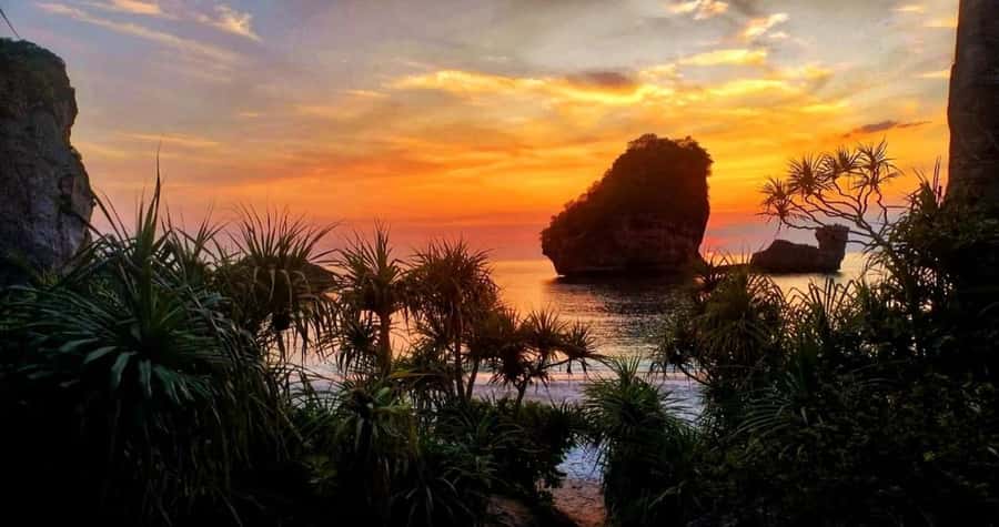 Phi Phi: Guided Jungle Trek & Night Swim with Plankton - What the glowing plankton is really like