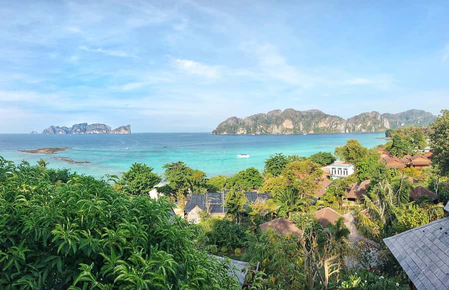 Phi Phi: Guided Jungle Trek & Night Swim with Plankton - Meeting in Tonsai at 1:30 p.m.