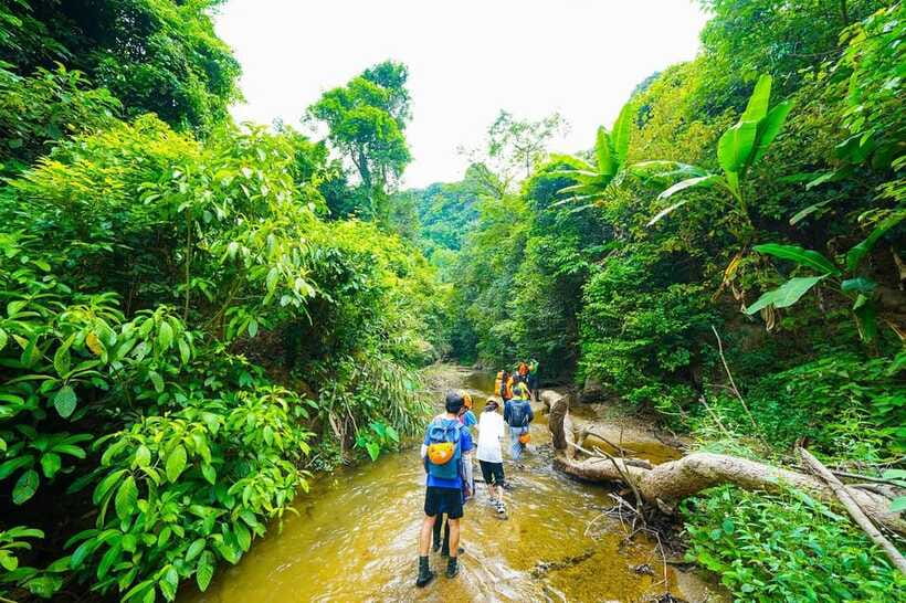 Phong Nha: ELEPHANT CAVE & MA DA VALLEY JUNGLE TREK 1D - Who will enjoy this trek most?