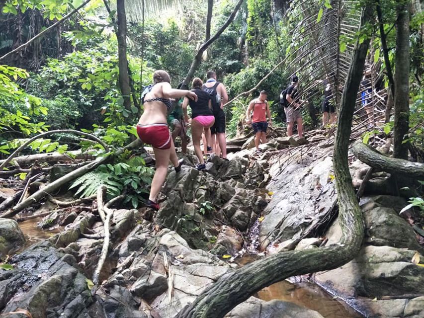 Phuket: Jungle Trekking Experience at Khao Phra Taew - Key points before you book