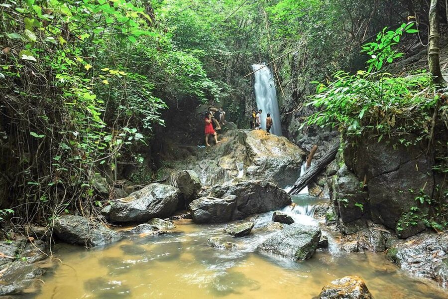 Phuket: Jungle Trekking Experience at Khao Phra Taew - Who should book this rainforest day?