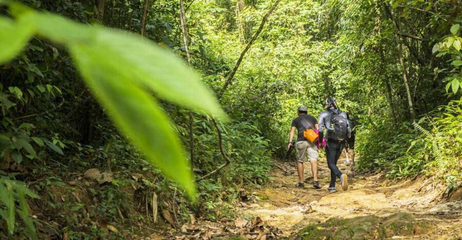 Phuket: Jungle Trekking Experience at Khao Phra Taew - Entering Phuket’s Khao Phra Taew rainforest