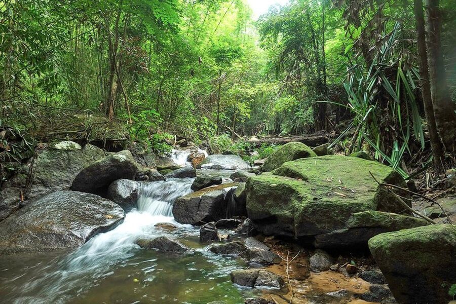 Phuket: Jungle Trekking Experience at Khao Phra Taew - Ton Sai Waterfall and the first cooling stop