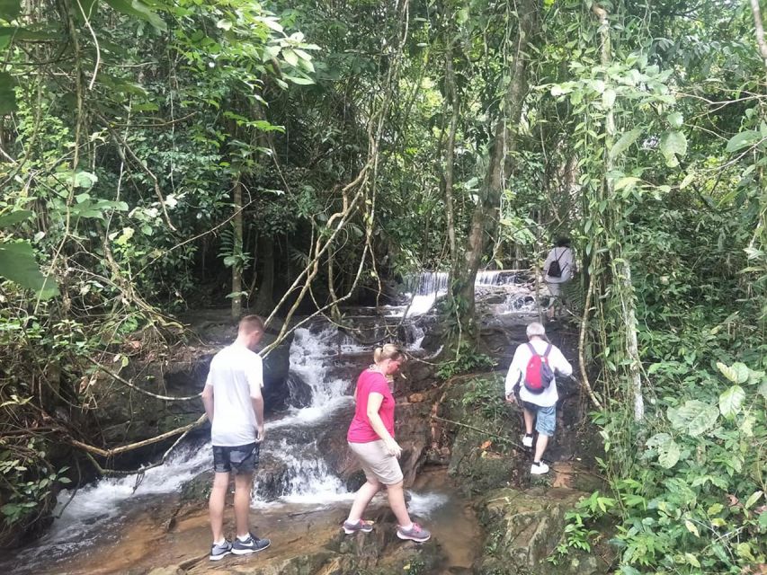 Phuket: Jungle Trekking Experience at Khao Phra Taew - Bang Pae Waterfall and the end of the walk