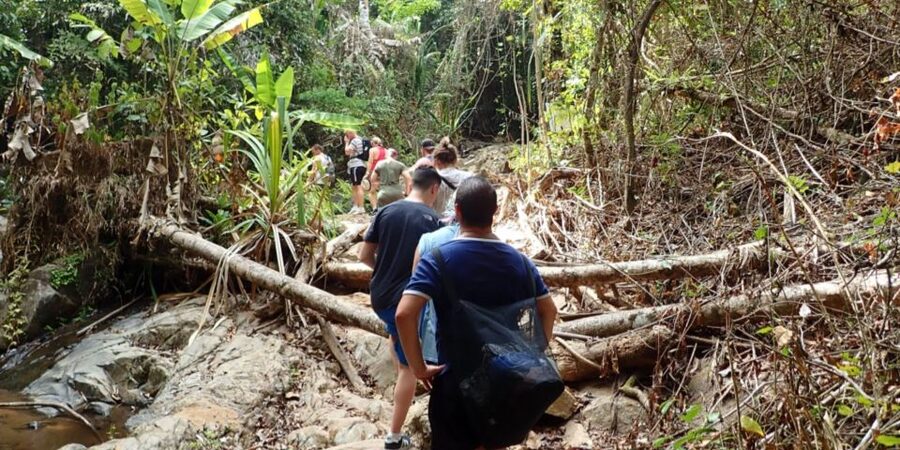 Phuket: Jungle Trekking Experience at Khao Phra Taew - Fruit, water, and a local lunch
