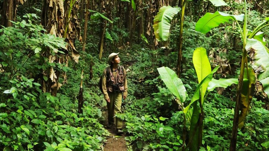 Phuket: Jungle Trekking Experience at Khao Phra Taew - Transfers from Phuket beaches