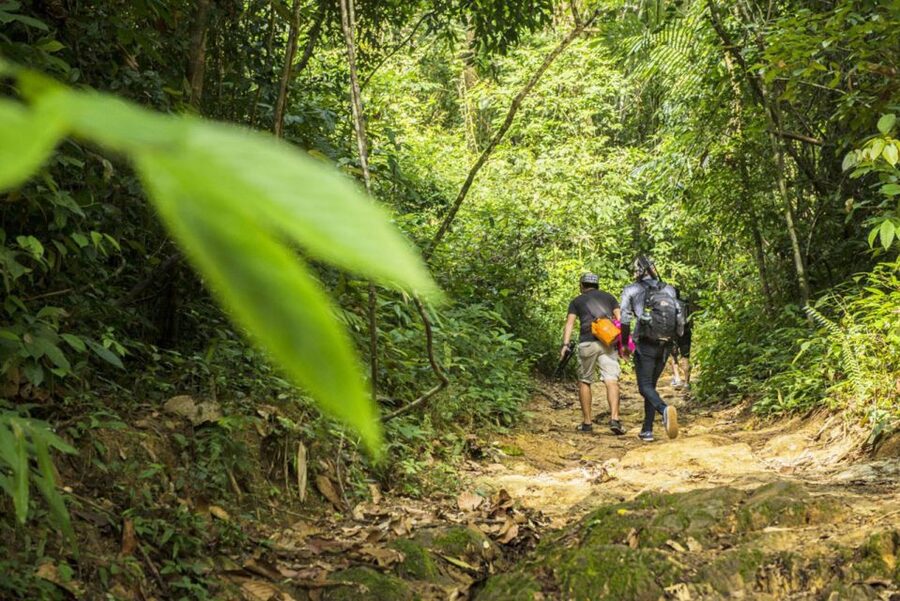 Phuket: Jungle Trekking Experience at Khao Phra Taew - The 8-kilometre route between Ton Sai and Bang Pae