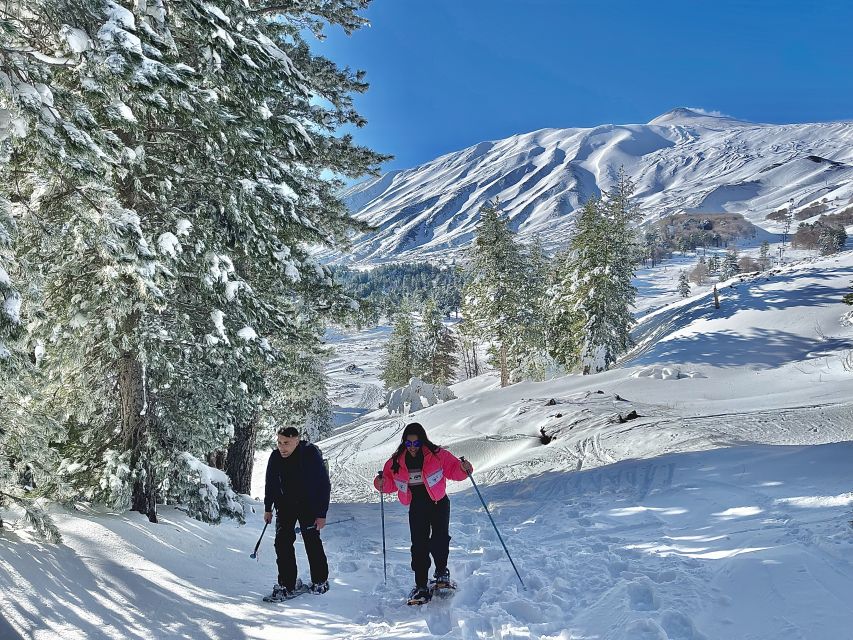 Piano Provenzana: Guided Mt. Etna Snowshoeing Trek - Key points at a glance