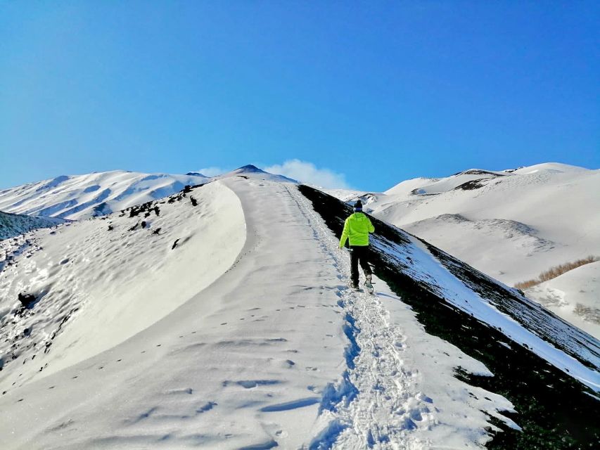 Piano Provenzana: Guided Mt. Etna Snowshoeing Trek - Through the snowy forest at 1,800 meters