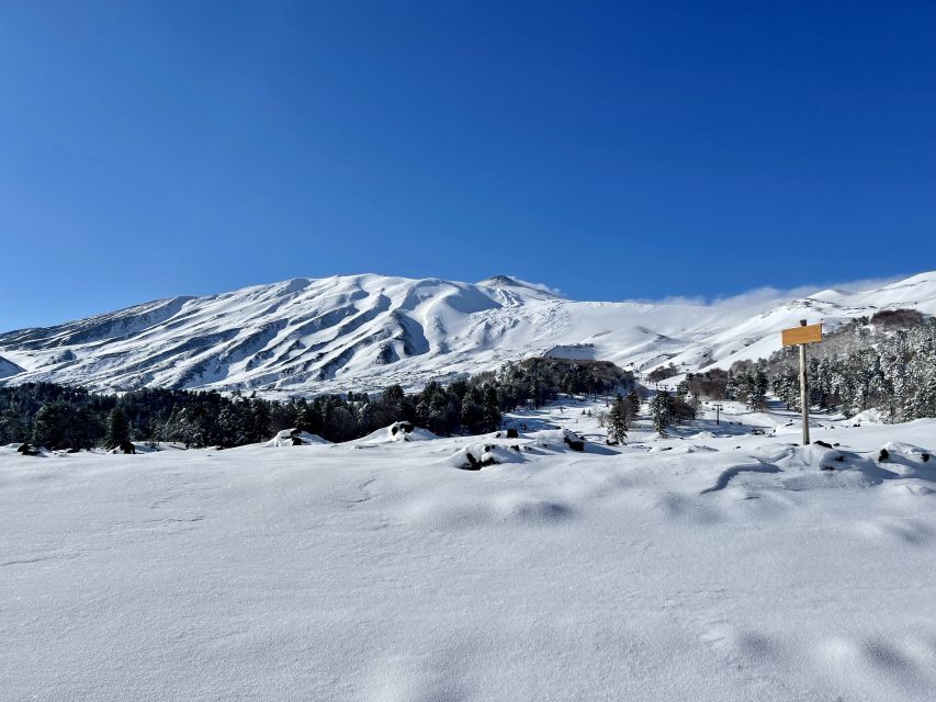 Piano Provenzana: Guided Mt. Etna Snowshoeing Trek - The 2002 eruption zone and destroyed resort buildings