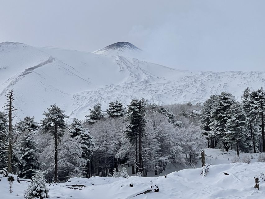 Piano Provenzana: Guided Mt. Etna Snowshoeing Trek - The large side craters at about 2,200 meters
