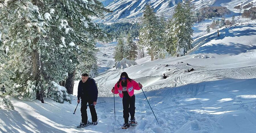 Piano Provenzana: Guided Mt. Etna Snowshoeing Trek - Starting at Piano Provenzana and the Mareneve meeting point