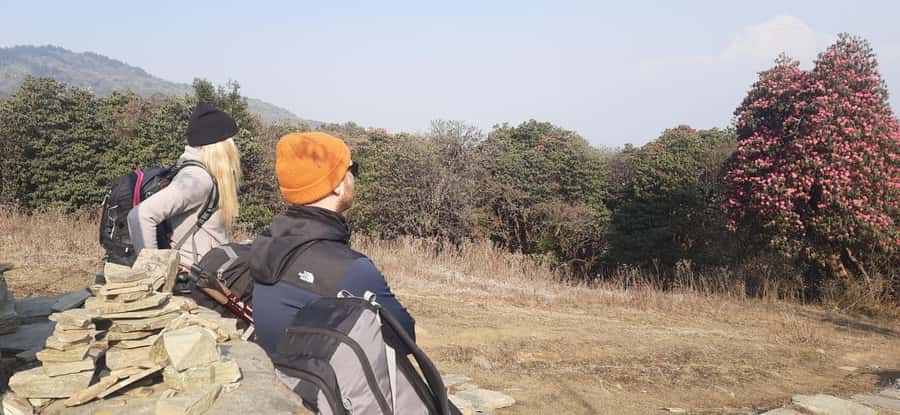 Pkr. Backpacker Group Dep.: 4 Day Mardi Himal Base Camp Trek - Views, Forests, and Gurung Villages