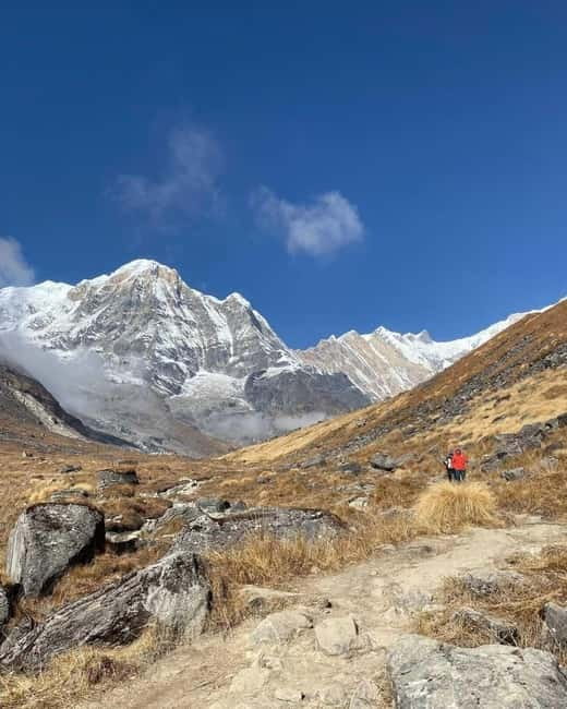 Pkr/Kathmandu: 5-Day Annapurna Base Camp & Hot spring Trek - Day 4: Sunrise, then a long descent