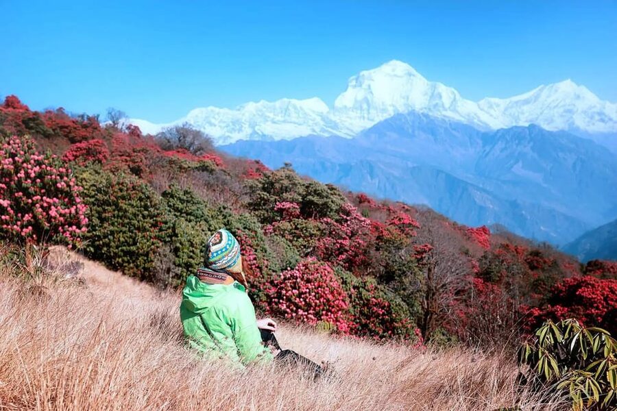 Pokhara: 2 Day Ghorepani & Poon Hill Private Trekking - The essential points at a glance