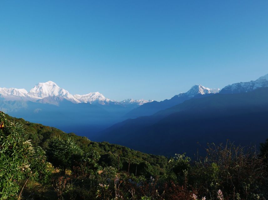 Pokhara: 3-Day Ghorepani and Poon Hill Trek - Tea houses, comfort, and what to pack