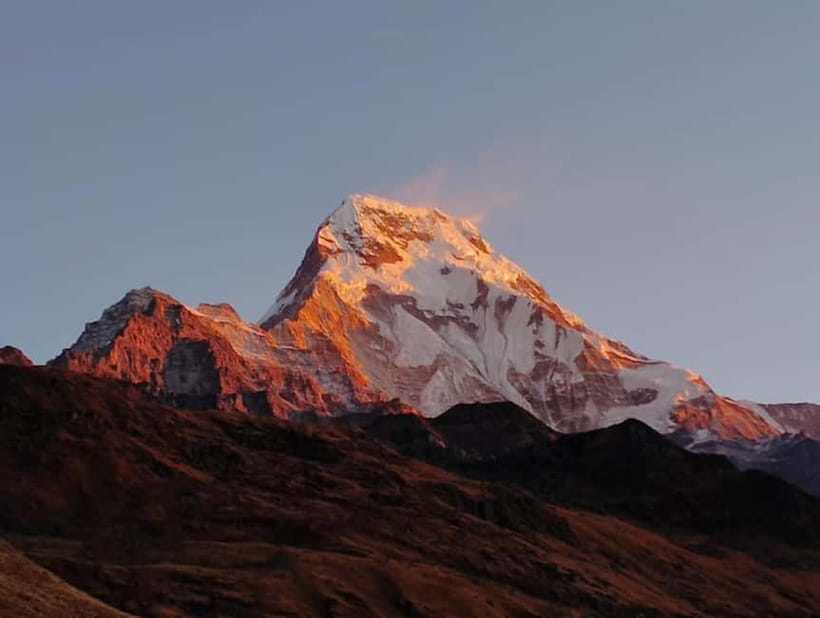 Pokhara: 3-Day Ghorephani and Poon Hill Private Trek - Day two: the forest climb to Ghorepani