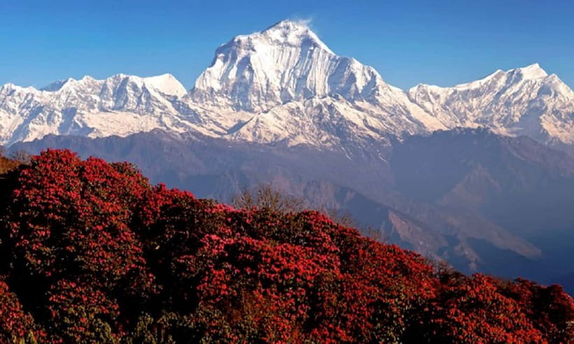 Pokhara: 3-Day Ghorephani and Poon Hill Private Trek - Should you book the Ghorepani and Poon Hill trek?