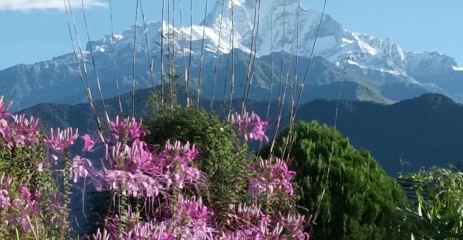Pokhara: 3-Day Trek - Four things to know before you book