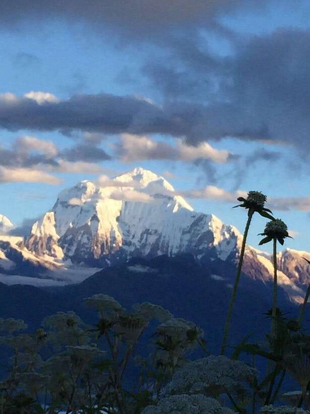 Pokhara: 3 days Trek to Poon hill - Returning by trail and road to Pokhara