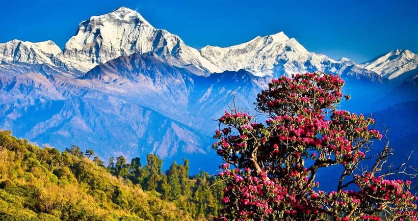 Pokhara: 4-Day Ghorepani, Poonhill & Ghandruk Mountain Trek - Key points before you book