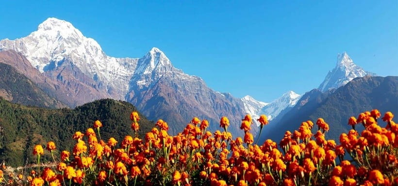Pokhara: 4-Day Ghorepani, Poonhill & Ghandruk Mountain Trek - What this short Annapurna trek actually gives you