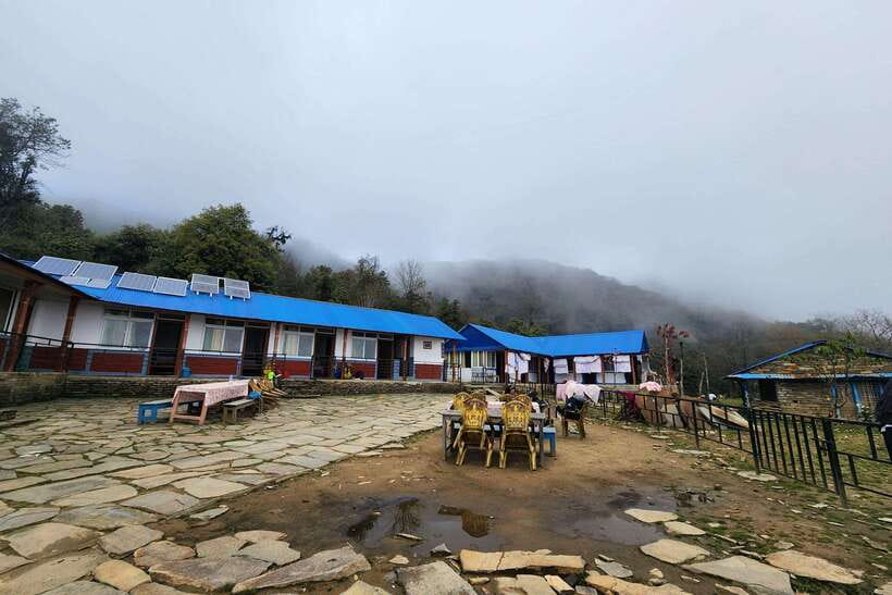 Pokhara: 4-Day Mardi Himal Trek - Day 3: Sunrise above the clouds at Mardi Himal Viewpoint