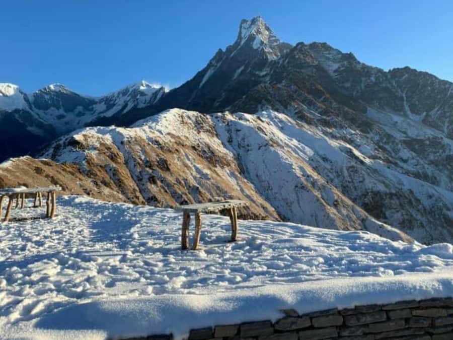 Pokhara: 4-Day Mesmerizing Mardi Himal Guided Trek - Guides, group style, and personal service