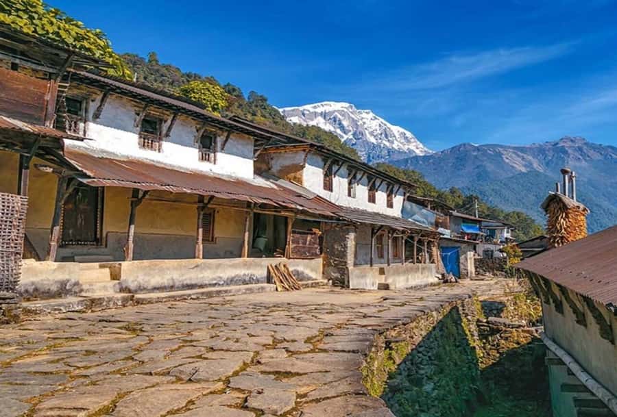 Pokhara: 5 Day Annapurna Base Camp Trek & Natural Hot Spring - Time at base camp, then down to Bamboo