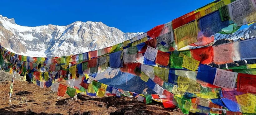 Pokhara: 5-Day Annapurna Base Camp Trek with Hot Spring - Day 5: Jhinu Dada hot springs and the return to Pokhara