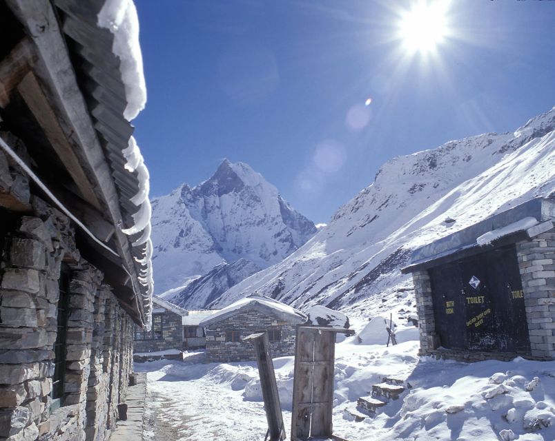 Pokhara: 5-Day Trek to Annapurna Base Camp and Hot Springs - Day 2: Sinuwa to Deurali at 3,230 meters
