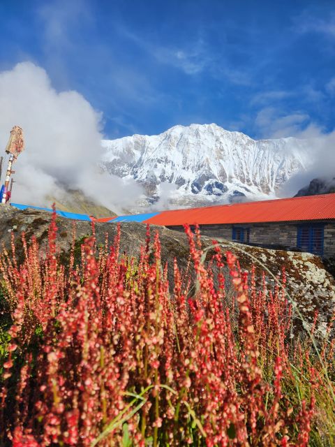 Pokhara: 9-Day Annapurna Base Camp Trek with Poon Hill - Chuile to Sinuwa: rivers and changing scenery